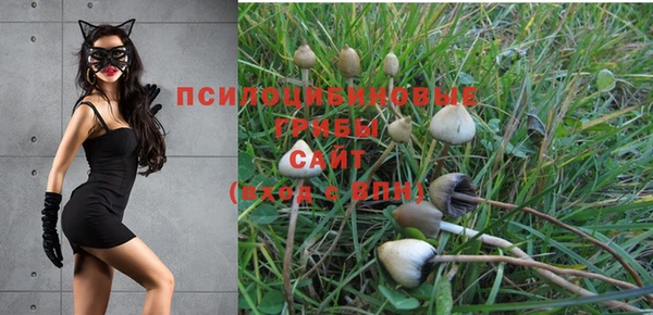 твердый Липки