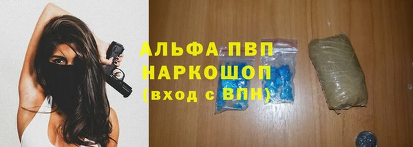 крисы Великий Новгород