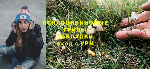 jwh Лиски