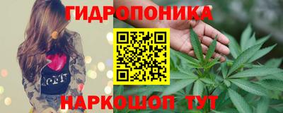 индика Берёзовский
