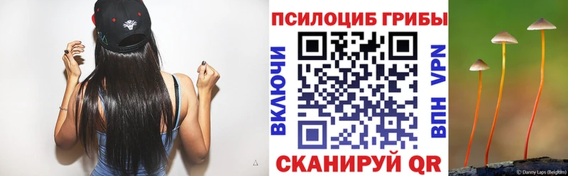 Псилоцибиновые грибы мицелий  Рязань 