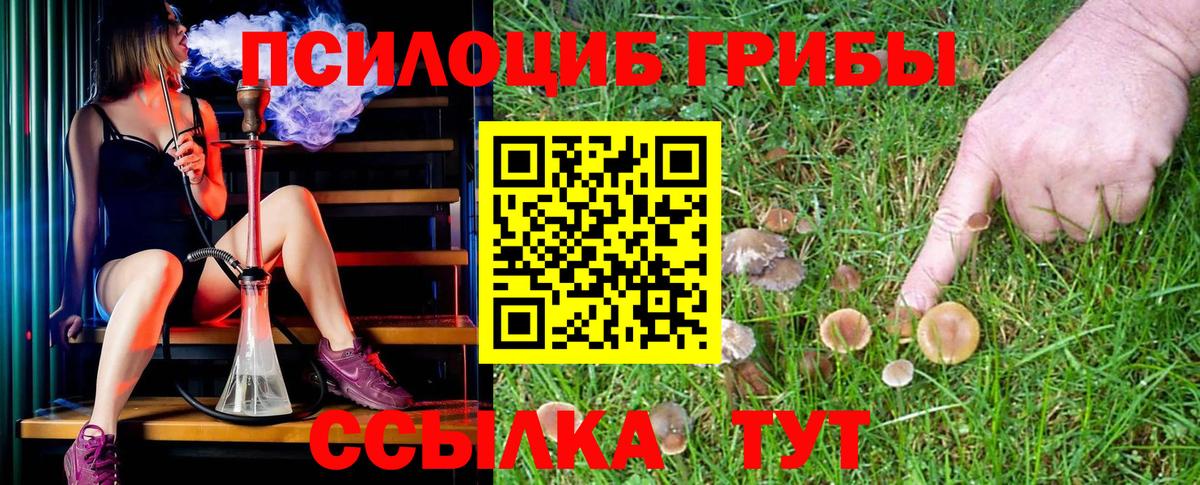 Галлюциногенные грибы ЛСД  наркота  Галлюциногенные грибы ЛСД  Рязань 