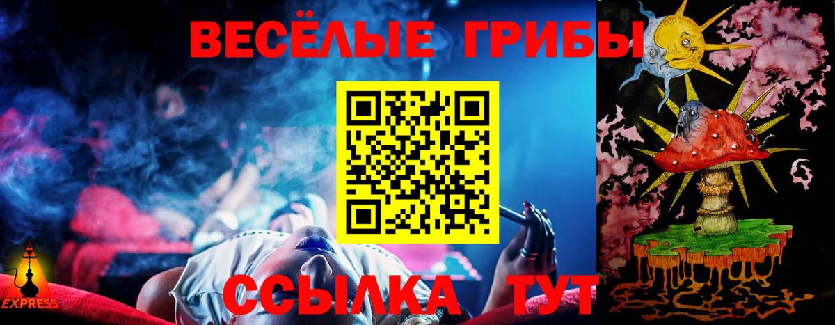 Галлюциногенные грибы GOLDEN TEACHER  где продают   Вход с VPN  Рязань  Галлюциногенные грибы Cubensis 